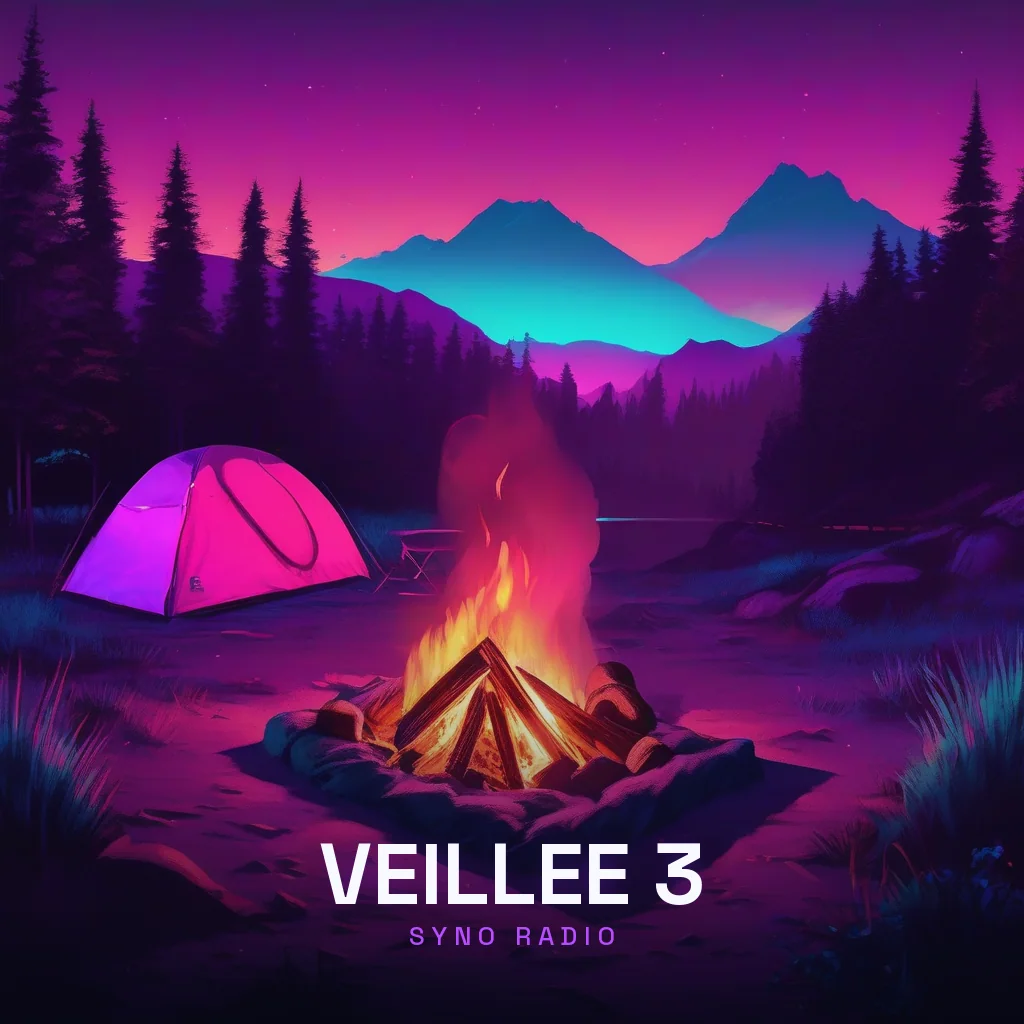 Pochette de Veillee 3